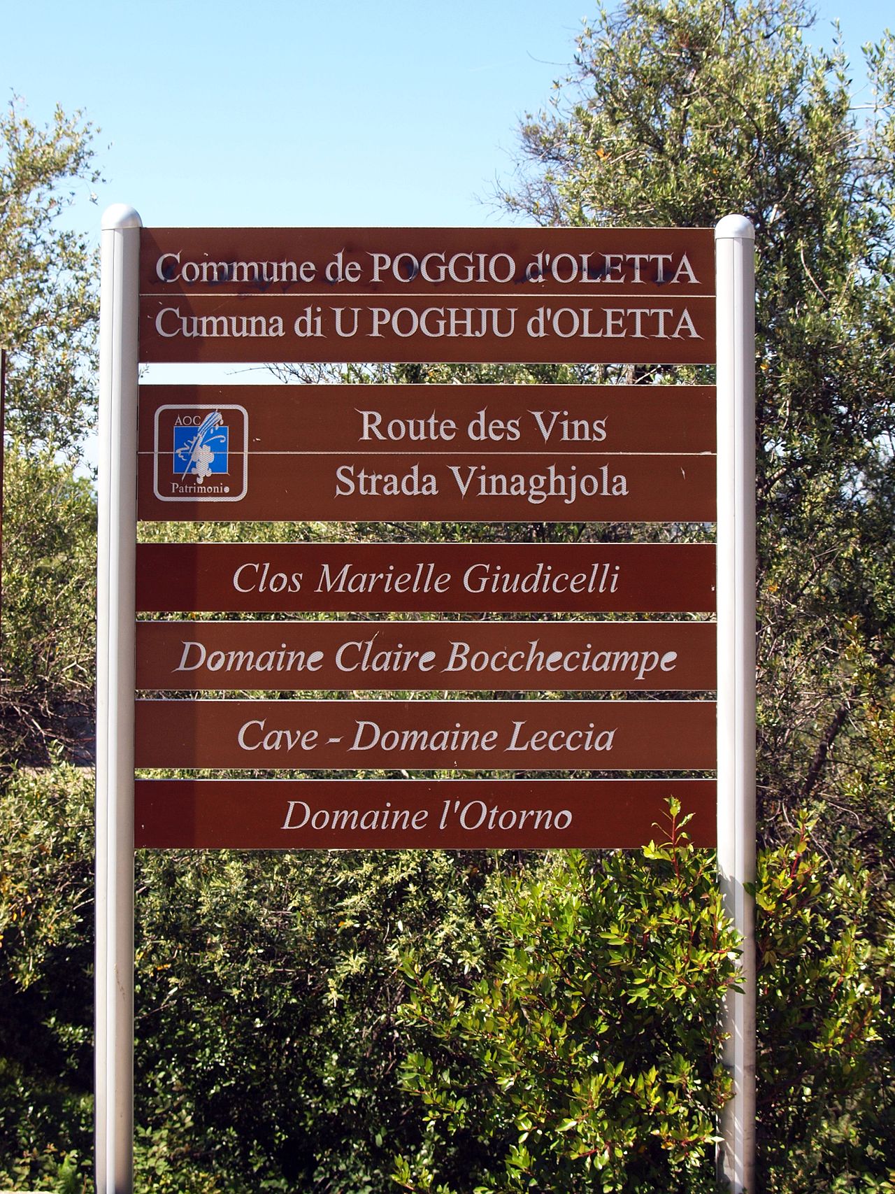 Vineyards in Corsica